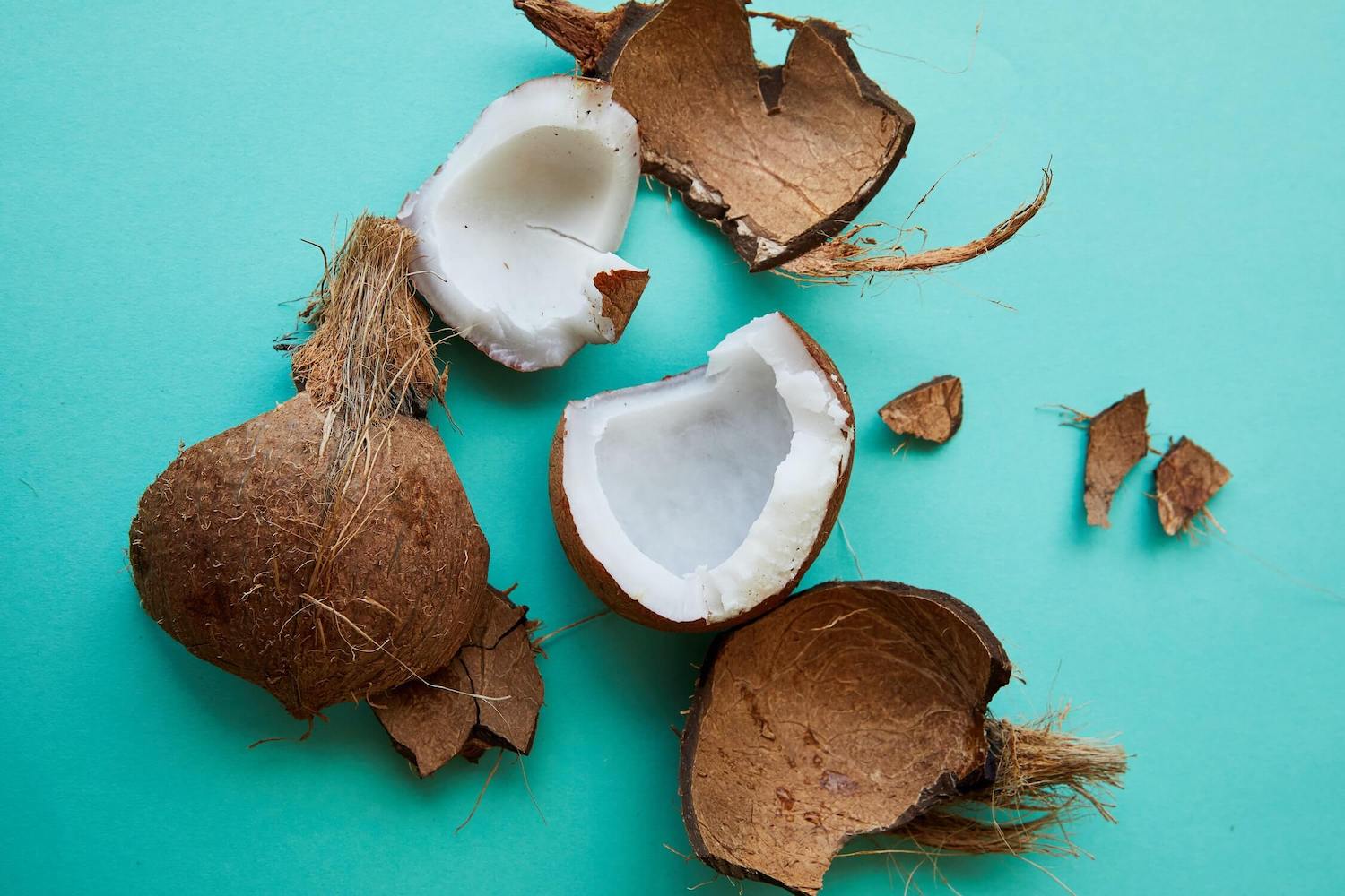 rozbity orzech kokosowy na turkusowym tle